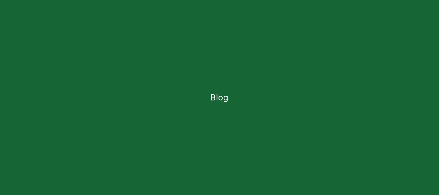 Blog kapak