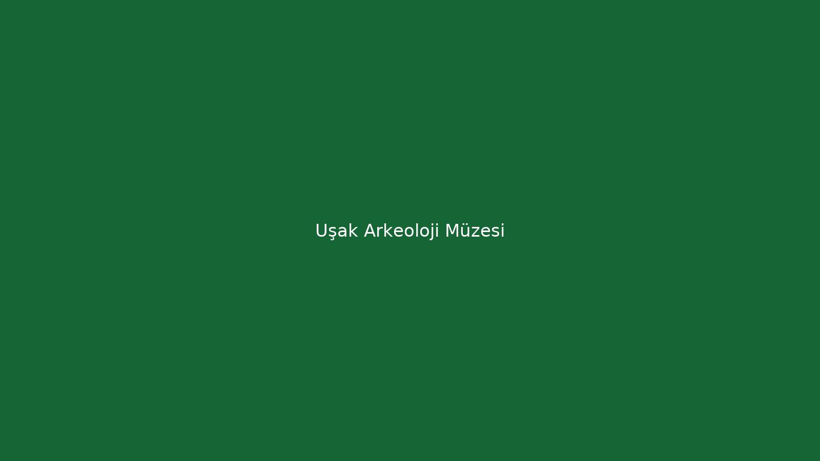 Uşak Arkeoloji Müzesi sergi alanı