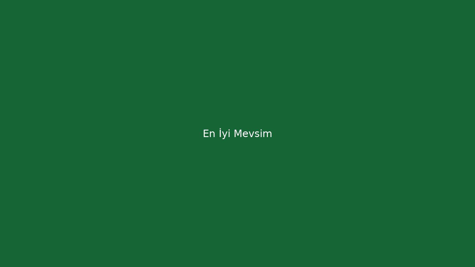 En iyi mevsim