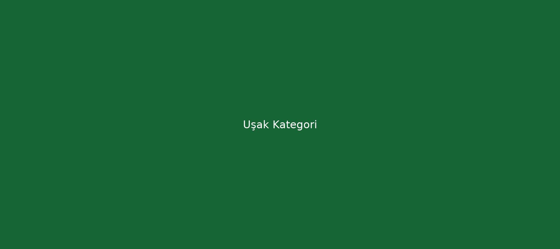 Uşak kapak